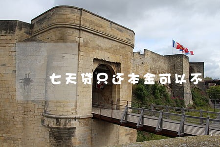 七天贷只还本金可以不 七天贷只还本金可以不