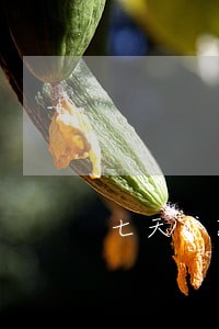 七天贷款严重逾期啥后果