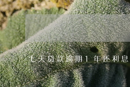七天贷款逾期1年还利息 七天贷款逾期1年还利息