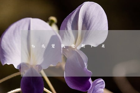 七天贷款逾期1月 七天贷款逾期1月