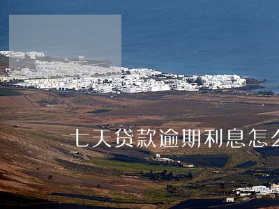 七天贷款逾期利息怎么算 七天贷款逾期利息怎么算