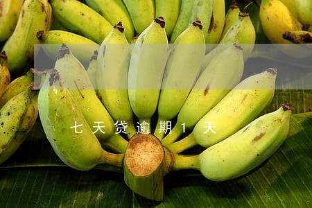 七天贷逾期1天 七天贷逾期1天