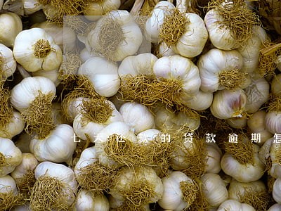 七天还款的贷款逾期怎么办 七天还款的贷款逾期怎么办