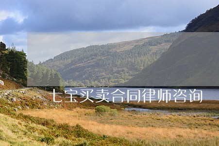 七宝买卖合同律师咨询