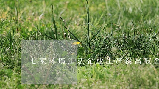 七家环境违法企业生产设备被查封 七家环境违法企业生产设备被查封