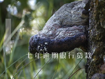 七年逾期银行贷款 七年逾期银行贷款