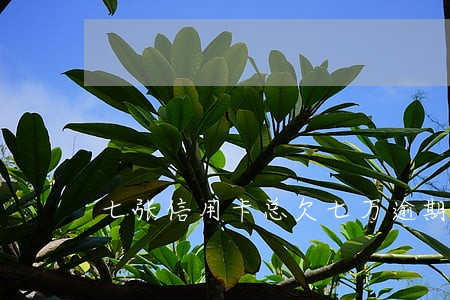 七张信用卡总欠七万逾期一年 七张信用卡总欠七万逾期一年