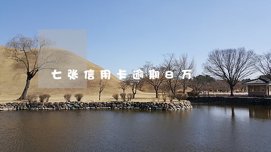 七张信用卡逾期8万