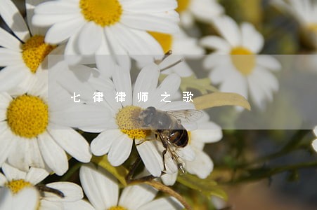 七律律师之歌 七律律师之歌