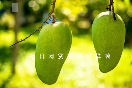七日网贷逾期怎样嘛 七日网贷逾期怎样嘛