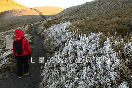 七星关区司法局长简历