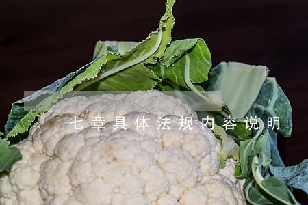 七章具体法规内容说明