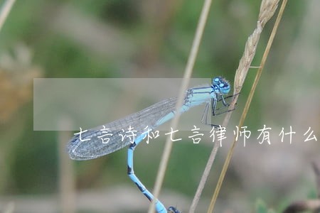 七言诗和七言律师有什么区别 七言诗和七言律师有什么区别