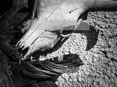 七都八都 七都八都