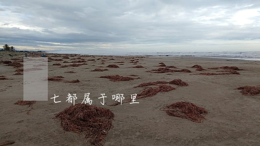 七都属于哪里 七都属于哪里