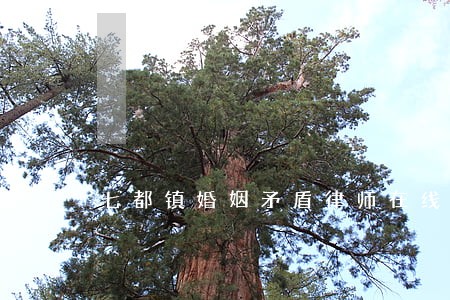 七都镇婚姻矛盾律师在线 七都镇婚姻矛盾律师在线