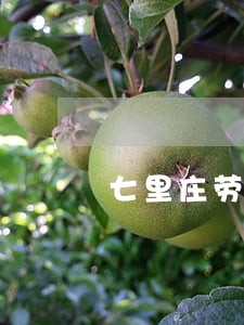 七里庄劳动仲裁律师咨询