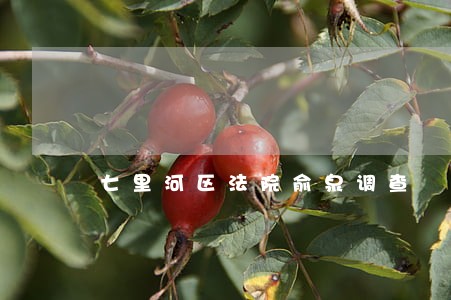 七里河区法院俞泉调查 七里河区法院俞泉调查