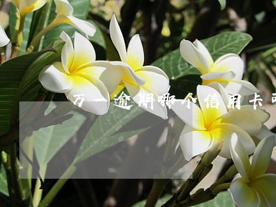 万一逾期哪个信用卡可以先还