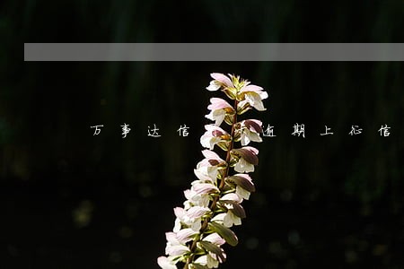万事达信用卡逾期上征信吗 万事达信用卡逾期上征信吗