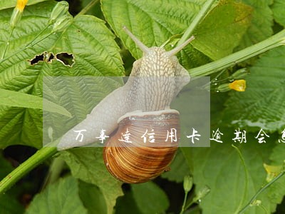 万事达信用卡逾期会怎么样