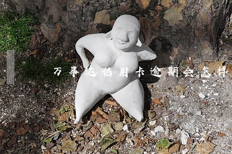万事达信用卡逾期会怎样 万事达信用卡逾期会怎样