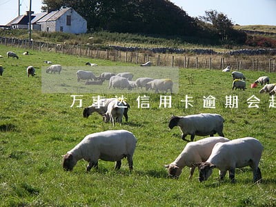 万事达信用卡逾期会起诉吗 万事达信用卡逾期会起诉吗
