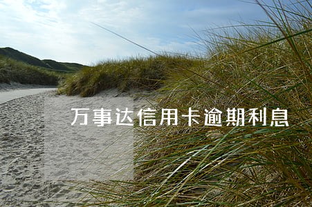 万事达信用卡逾期利息