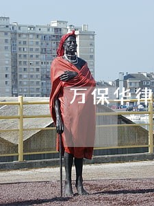 万保华律师荣誉相册 万保华律师荣誉相册