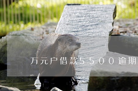 万元户借款5500逾期