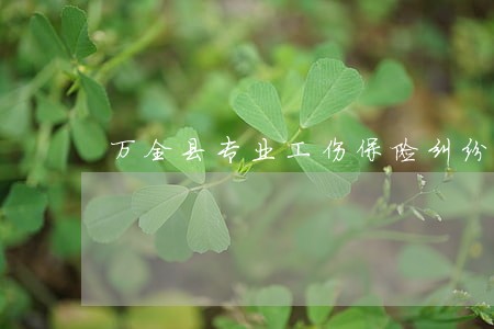 万全县专业工伤保险纠纷律师 万全县专业工伤保险纠纷律师