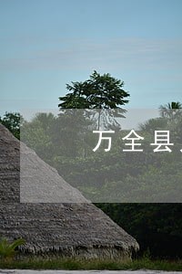 万全县只办刑事律师 万全县只办刑事律师
