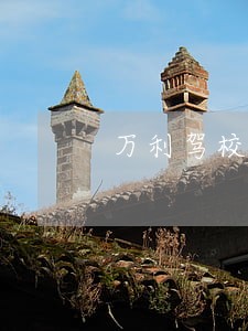 万利驾校奖励活动涉嫌违法