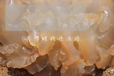 万博赌钱违法吗 万博赌钱违法吗