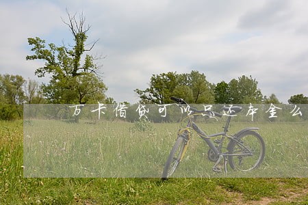 万卡借贷可以只还本金么 万卡借贷可以只还本金么