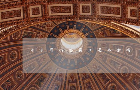 万卡可以协商只还本金吗 万卡可以协商只还本金吗