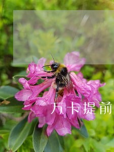 万卡提前结清可以只还本金吗 万卡提前结清可以只还本金吗