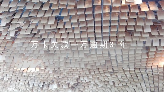 万卡欠款一万逾期3年 万卡欠款一万逾期3年