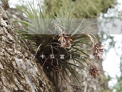 万卡玖富1万逾期 万卡玖富1万逾期