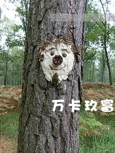万卡玖富逾期2020 万卡玖富逾期2020
