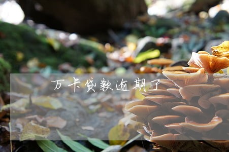 万卡贷款逾期了 万卡贷款逾期了