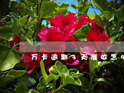 万卡逾期3天催收怎么样 万卡逾期3天催收怎么样