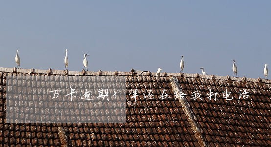 万卡逾期3年还在给我打电话 万卡逾期3年还在给我打电话