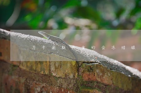 万卡逾期严重的会冻结银行卡吗 万卡逾期严重的会冻结银行卡吗