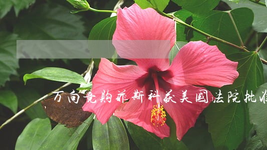万向竞购菲斯科获美国法院批准 万向竞购菲斯科获美国法院批准