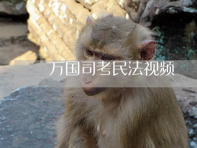 万国司考民法视频 万国司考民法视频