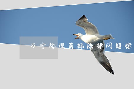 万宁处理商标法律问题律师 万宁处理商标法律问题律师