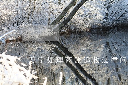 万宁处理商账追收法律问题律师 万宁处理商账追收法律问题律师