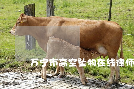 万宁市高空坠物在线律师