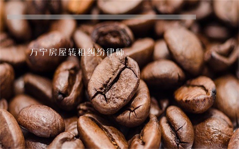 万宁房屋转租纠纷律师 万宁房屋转租纠纷律师
